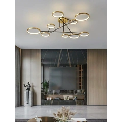 Стілова серія люстр Fancy Led lamp