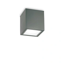 Ideal Lux TECHO 251516