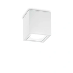 Ideal Lux TECHO 251523