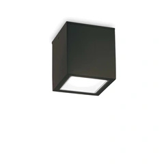 Ideal Lux TECHO 251530