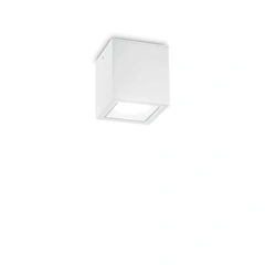 Ideal Lux TECHO 251561