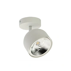 Точковий світильник TK Lighting ALTEA WHITE 6512
