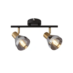 Стельовий світильник Searchlight WESTMINSTER 23801-2SM