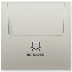 Накладка вимикача карткового JUNG ES2990 CARD Edelstahl