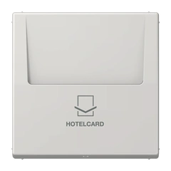 Накладка вимикача карткового JUNG LS590 CARD LG світло-сірий