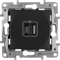 Розетка з двома USB-роз'ємами тип A+ тип C 240V/5V 3000мА Legrand Etika 672636, колір антрацит