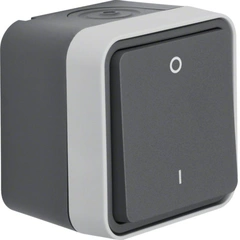 Вимикач 2-полюсний 0-І, IP55, сірий, 10АX/250В W.1