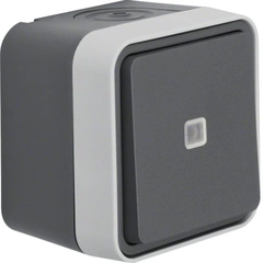 Переключатель с подсветкой IP55, серый, 10АX/250В W.1