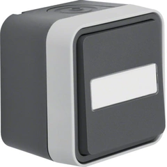 Переключатель, поле д/надписи, IP55, серый, 10АX/250В W.1