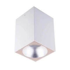 Накладной точечный светильник MJ-Light 8001S WH + 3001S SS