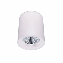 Накладний точковий світильник MJ-Light D518C-COB24W WH 4000K