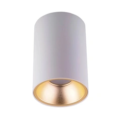 Накладной точечный светильник MJ-Light 8001 WH + 3001R CG