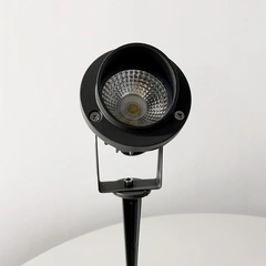 AMPOLLA 62785610
