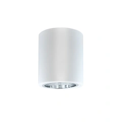 Точечный светильник Goldlux 307170 Jupiter E27 1x20W IP20 WH