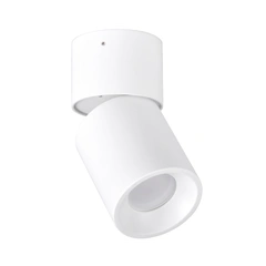 Точковий світильник Goldlux 314239 Nixa GU10 1x10W IP20 WH