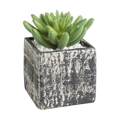Искусственное растение в горшке CHITOSE Eglo Living 428007