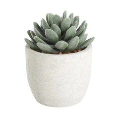 Искусственное растение в горшке CHITOSE Eglo Living 428011
