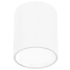 Точковий накладний світильник Nordlux FALLON 47550101