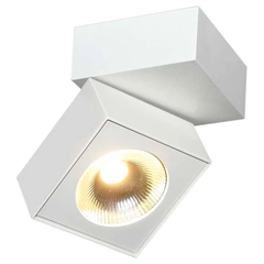 Потолочный светильник Maxlight ARTU C0106