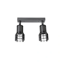 Світильник стельовий Spoty C L80-2 BlackPearl Atmolight