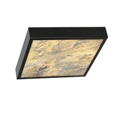 Стельовий світильник Candellux 10-06691 LUXAN