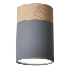 Точковий світильник Candellux 2284262 TUBA