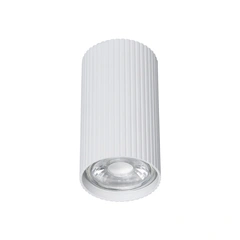 Спот TK-Lighting 10023 TUNE WHITE S
