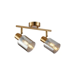 Спот Italux SPL-65342-2-BRO-SG Santia E14 2x40W IP20
