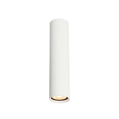 Точковий світильник Italux CLN-83920-L-WH Rilok GU10 1x10W IP20 Wh