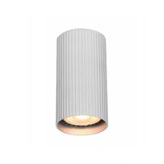 Точковий світильник Italux CLN-83920-S-ALU Rilok GU10 1x10W IP20 Wh