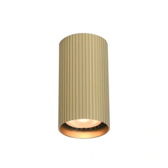 Точковий світильник Italux CLN-83920-S-GD Rilok GU10 1x10W IP20 Gold