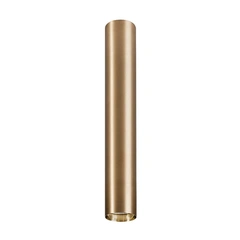 Точечный светильник Nowodvorski 8913 Eye GU10 1x35W IP20 Brown