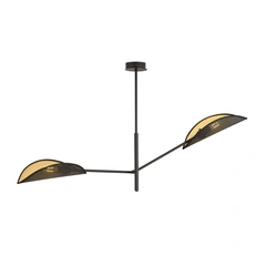 Люстра EMIBIG Lighting VENE 1158/2