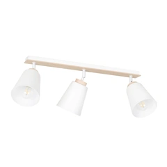 Стельовий світильник EMIBIG Lighting ATLAS 724/3