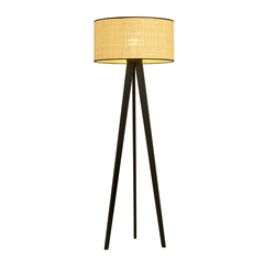 Торшер EMIBIG Lighting ASTON 1149/LP1