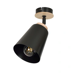 Стельовий світильник EMIBIG Lighting ATLAS 725/1