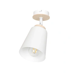 Стельовий світильник EMIBIG Lighting ATLAS 724/1