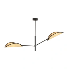 Люстра EMIBIG Lighting VENE 1160/2