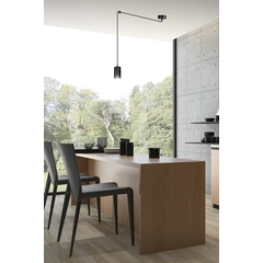Підвісний світильник EMIBIG Lighting TRAKER 524/1
