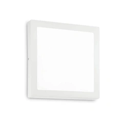 Настенно-потолочный светильник Ideal Lux UNIVERSAL D40 SQUARE 240374