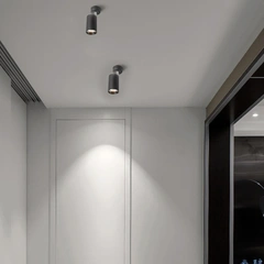 Спот Nestlight 231119-100002749 Чорний, Варіація: Чорний