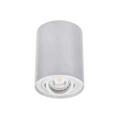 Накладной светильник Kanlux BORD DLP-50-AL (22550)