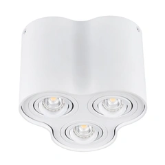 Точечный светильник Kanlux BORD DLP-350-W 25800