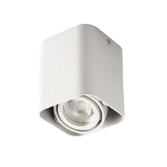 Світильник Kanlux TOLEO DTL50-W (26114)
