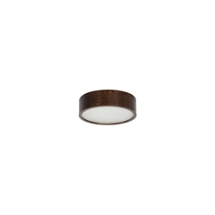 Потолковий потолок Kanlux JASMIN 270-WE (23120)
