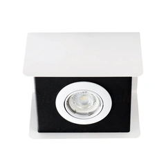 Накладной светильник Kanlux TORIM DLP 50 WB (28460)