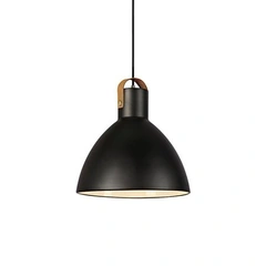 Люстра MARKSLOJD Eagle 106552