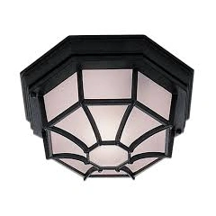 Потолочный светильник Searchlight OUTDOOR 2942BK
