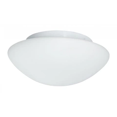 Потолочный светильник Searchlight BATHROOM 1910-23
