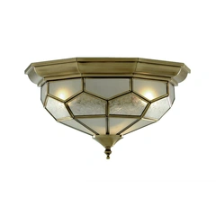 Потолочный светильник Searchlight Flush 1243-12